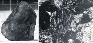 Fig. 1-6. Meteorito Casilda. A: vista macro. B: condrito polisomático fibroradiado de clinoenstatita con opaco incluido con hábito subparalelo (0,27 mm diámetro, nicoles cruzados).