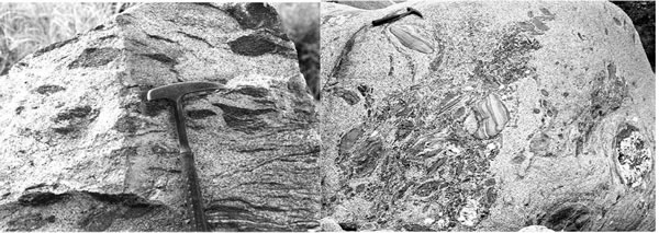 Fig. 10-12. A: Asimilación de esquistos por el granito de Capillitas. B: Esquistos bandeados en Cumbres Calchaquíes, en Cerro Pabellón.