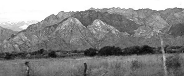 Fig. 10-8. Tabiques de anfibolita incluidos dentro de granito. Granito Cerro Toro, Sierra de Famatina.