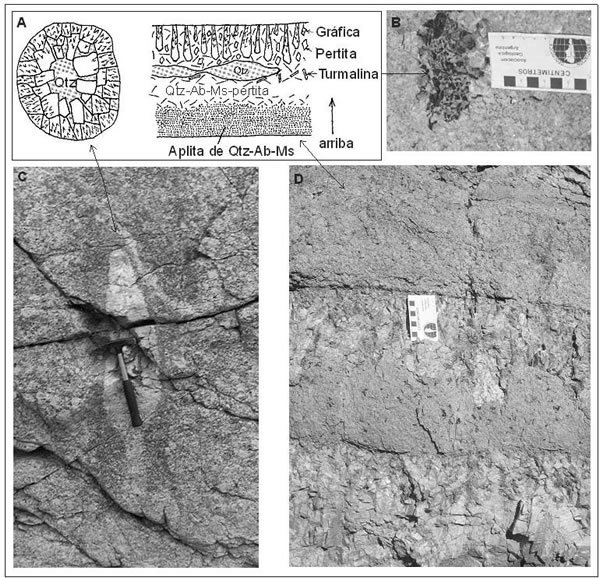 Fig. 11-6. Desarrollo de pegmatitas. A: Esquema de pegmatita de segregación, que se ejemplifica en C (Granito Capillitas). B: Esquema de desarrollo de pegmatita de inyección, con detalle en B de intercrecimiento de turmalinacuarzo y en D de una secuencia de inyección (Sierra de Mazán).