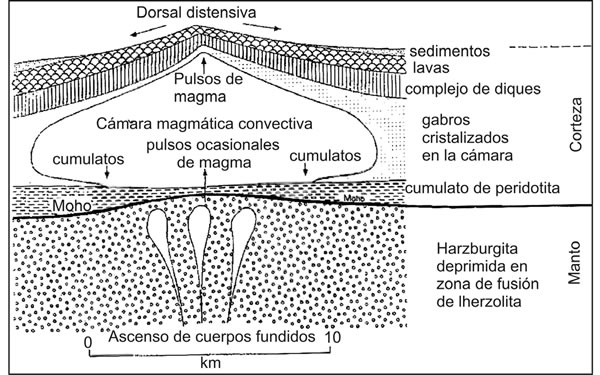 Fig. 12-2. Esquema hipotético de las dorsales medio-oceánicas, mostrando la estructura de la corteza oceánica, de las ofiolitas y los procesos que darían origen al magma basáltico.