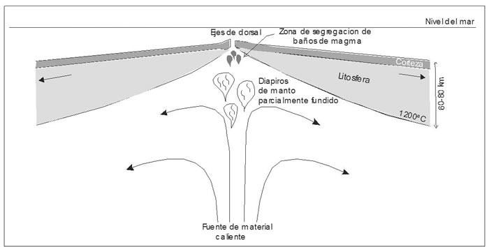Fig. 12-5. Sección esquemática de la dorsal Medio-Oceánica, con la zona de generación de basaltos.