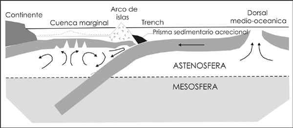 Fig. 15-1. Esquema de subducción de litosfera oceánica generada en la dorsal medio-oceánica. Corrientes de convección secundaria se desarrollan en el retro-arco.