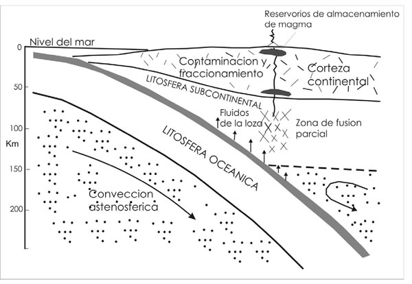 Fig. 16-10. Esquema de generación magmática en un margen continental activo.