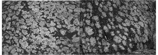 Fig. 21-2. Texturas de los intrusivos anortositicos. A: Fenocristales de plagioclasa. B: Plagioclasa en copo de nieve.