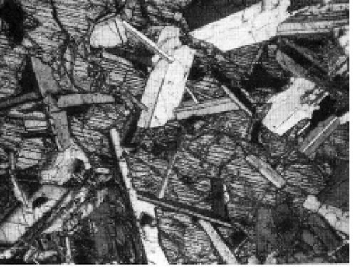 Fig. 3-15. Textura oofítica, definida por cristales grandes de piroxeno que engloba tablillas de plagioclasa, orientadas al azar.