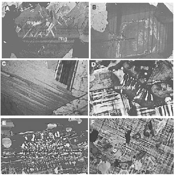 Fig. 3-20. A: Plagioclasa con maclado polisintético e inclusiones euhedrales de feldespato potásico. B: Plagioclasa maclada con zoneamiento determinado por disolución y crecimiento. C: Plagioclasa con maclado polisintético. D: Plagioclasa reemplazando a microclino, con formación de mirquetitas. E: Desarrollo de pertitas de albita en microclino.F: Desarrollo secundario de maclado en “tartán” del microclino, con inclusiones de albita subhedral.