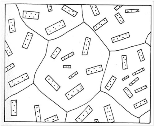 Fig. 3-5. Textura poquilítica.