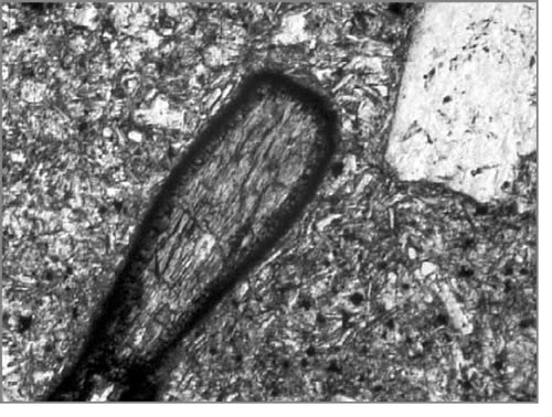 Fig. 3-9. Fenocristal de hornblenda con borde de oxidación.