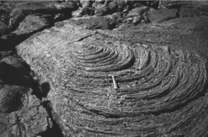 Fig. 4-4. Lavas cordadas o Pahoehoe.