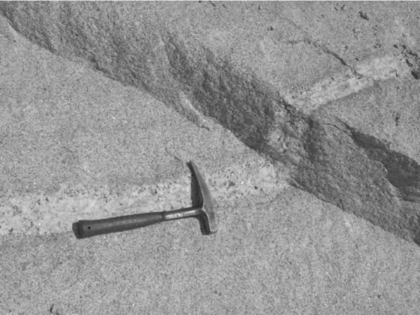 Fig. 5-3. Dique de pegmatita cortando la estructura de un granito equigranular.