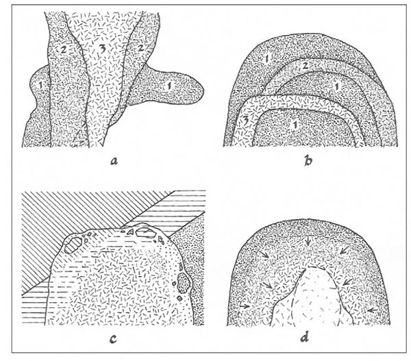 Fig. 5-8. Intrusivos compuestos. A: Secuencia intrusiva múltiple que va de 1 a 3. Los sucesivos pulsos aprovechan la zona más caliente para intruirse, mientras que las zonas de bordes están más frías y rígidas. B: Secuencia intrusiva múltiple que se inicia con un primer pulso (1), seguido por el 2 y finalmente el 3, ocasionados por colapsos progresivos. C: Intrusivo con borde de enfriamiento mostrando asimilación parcial de un dique anterior. D: cristalización centrípeta de un Plutón. (Modificado de Mc Birney 1984).