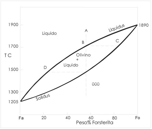 Fig. 9-1. Sistema Forsterita-Fayalita.