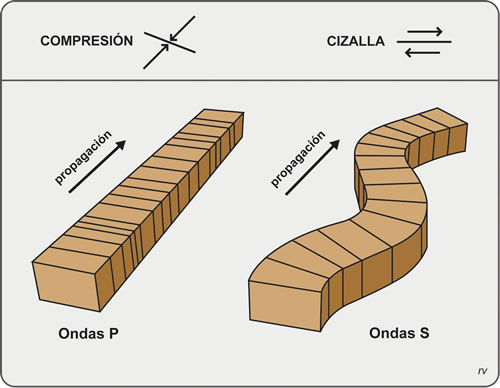 Figura 1.2. Efecto del paso de las ondas P y S. Nótese que la barra de roca se acorta al paso de las ondas P y que sufre ondulaciones al paso de las ondas S. Modificado de Burchfiel et al., 1982.