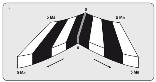 Figura 2.4. Corte transversal esquemático de una dorsal oceánica. En blanco fajas de polaridad normal y en verde fajas de polaridad reversa.