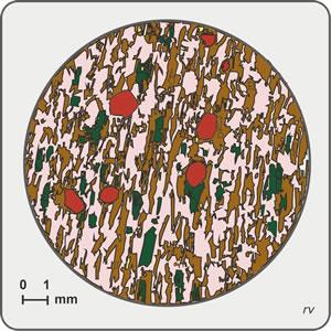 Figura 4.14. Bosquejo de estructura orientada, vista al microscopio en sección transversal. Se aprecia la alternancia de láminas de minerales claros (feldespatos, rosado) y de minerales oscuros (biotita, castaño; anfíbol, verde; granate, bordó).