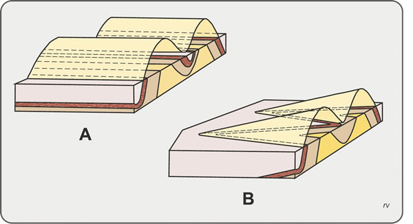 Figura 5.14. A: Pliegues no buzantes; B: Pliegues buzantes. Modificado de Billings, 1963.
