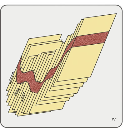 Figura 5.20. Pliegues de cizalla.