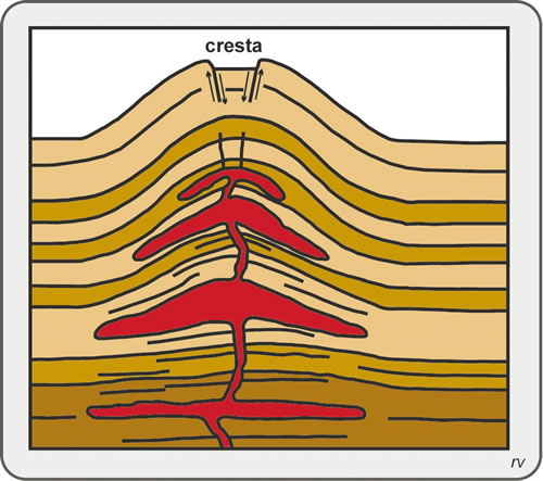 Figura 8.4. Lacolitos, superpuestos a distintos niveles estratigráficos, con una alimentación en común. Modificado de Llambías, 2008.