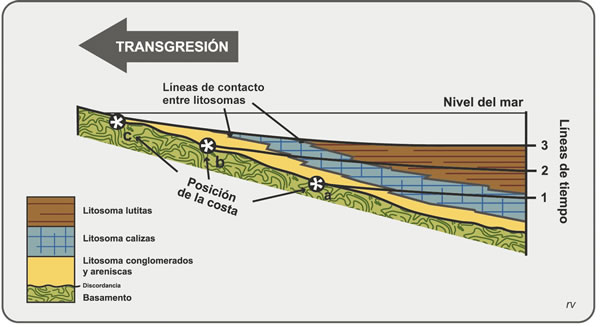 Figura 8.8. Sucesión transgresiva. Es notorio que los litosomas cortan las líneas de tiempo (= diacronismo). Modificado de Camargo Mendes, 1984.