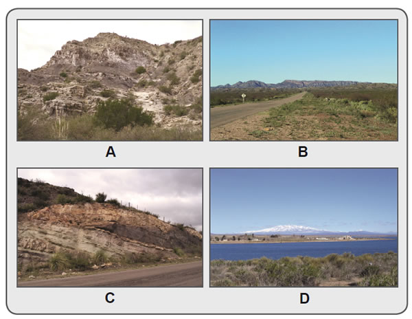 Figura 9.14. Fotografías del Bloque de San Rafael y Payenia. A) Areniscas y lutitas negras del Carbonífero-Pérmico, en la sección del río Atuel. B) Magmatismo Pérmico, a izquierda se aprecia un cuerpo subvolcánico (domo) y a derecha la sucesión volcano-sedimentaria estratificada. C) Detalle del interior de la sucesión volcano-sedimentaria: abajo capas de tobas y areniscas tobáceas, en tonalidad clara; las tobas son sobrepuestas por un nivel de un flujo denso (oscuro) y al tope por una lengua ignimbrítica (castaño-rojizo). Las volcanitas se apoyan sobre rocas de Basamento, expuestas al fondo de la vista. D) Vista al Sur del lago Nihuil del cerro Nevado (estratovolcán) y numerosos conos volcánicos menores de la Payenia.