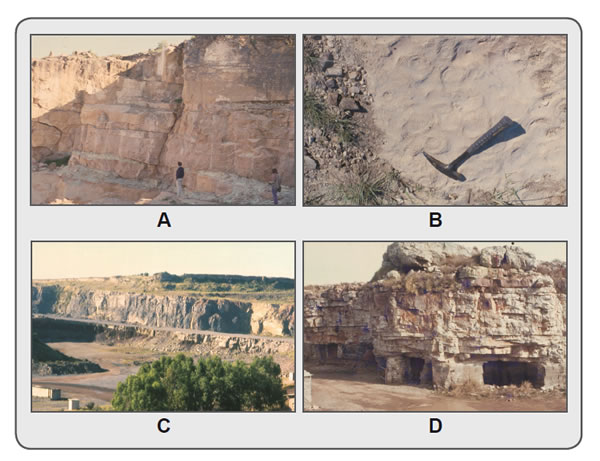 Figura 9.7. Cobertura sedimentaria de Tandilia. a, b y c pertenecen a sedimentitas del Neoproterozoico de las proximidades de Olavarría; A) dolomía, tonalidad castaño, intercalando pelitas, de tonalidad verdosa. B) vista en planta de las estructuras algales (estromatolitos) que contienen las dolomías. C) arcilitas, tonalidad rojiza, sobrepuestas por calizas, tonalidad gris. D) ortocuarcitas del Paleozoico Inferior aflorantes al Este de Barker. En la base del afloramiento se destacan las labores para la extracción de un nivel de arcilitas.