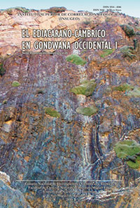 Ediacarano -Cámbrico EN GONDWANA OCCIDENTAL I
